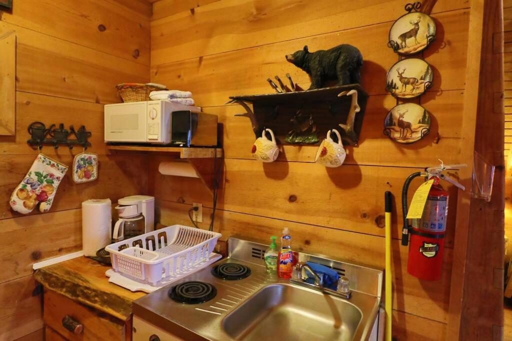 Cozy Cabin W/ Fireplace 3 Minutes To Helen! #2. 外观 照片